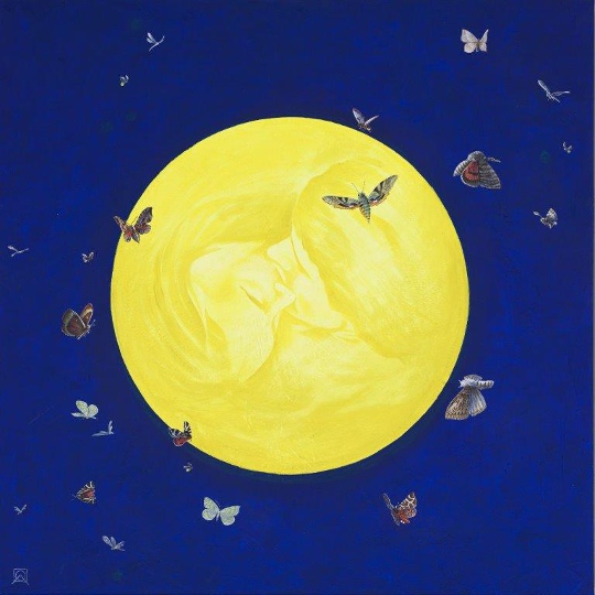 Vollmond Vollmond