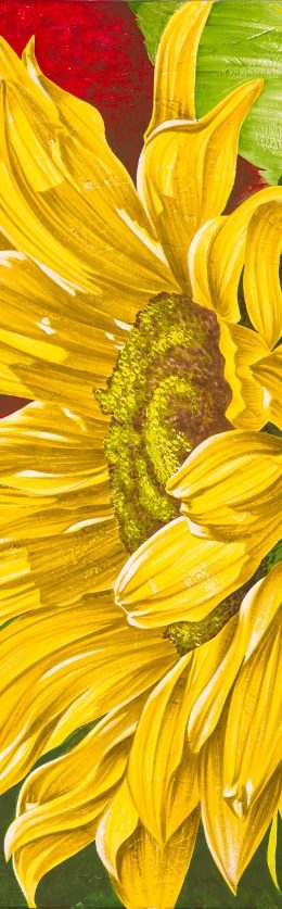 Sonnen Blume