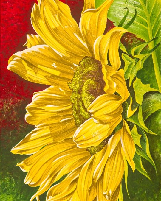 Sonnen Blume