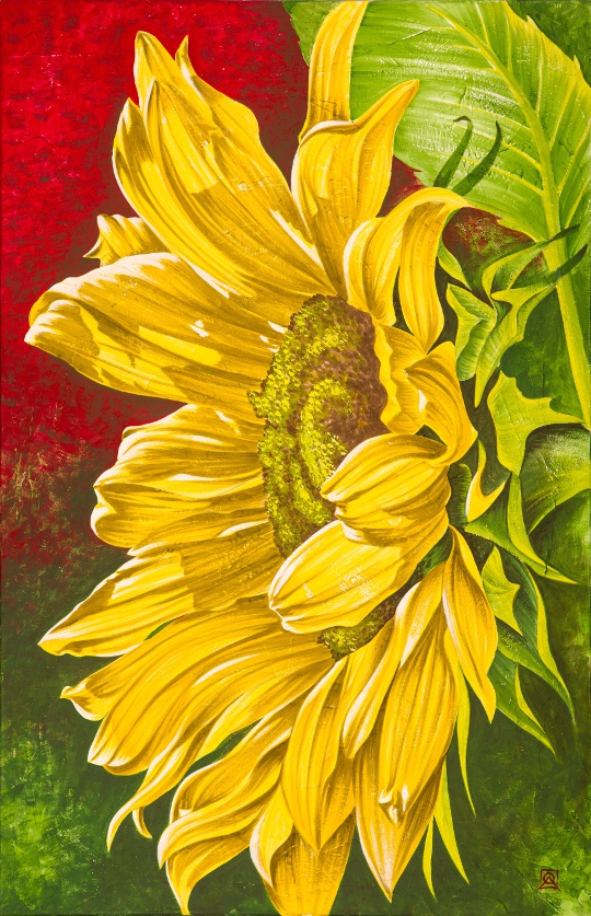 Sonnen Blume Sonnen Blume