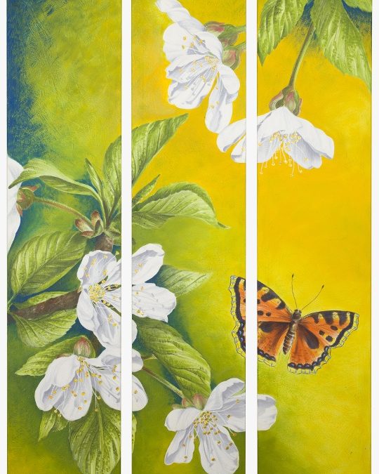 Triptichon Kirschblüten