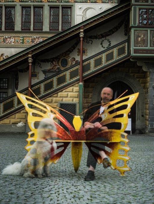 Wunsch-Schmetterling